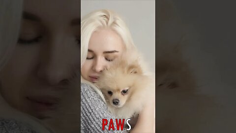 🐶 #PAWS - Blonde Beauty and Beloved Spitz: An Embrace of Love and Warmth 🐾