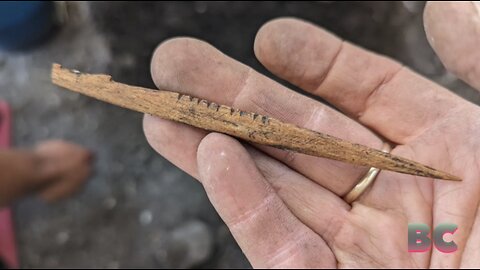 First Nation village, including 1,000-year-old fish trap, discovered in Canada