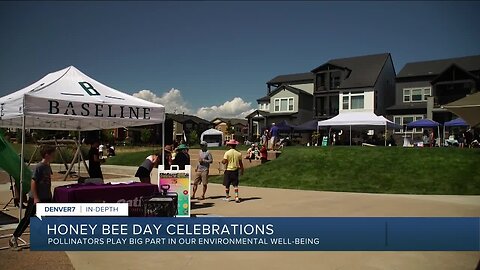 Baseline community in Broomfield is Colorado's first pollinator district