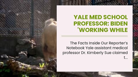 Yale med school professor: Biden 'working while having COVID infection epitomizes white suprema...