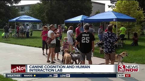 Canine Cognition and Human Interaction Lab