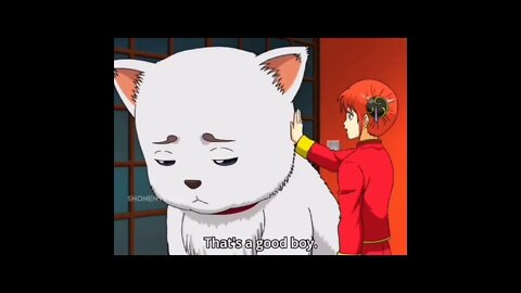 gintama funny moment 😂 ll poor sanaharu ll #gintama #funnymoment