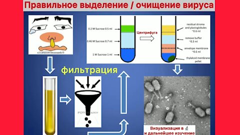 Galutinis virusologijos paneigimas