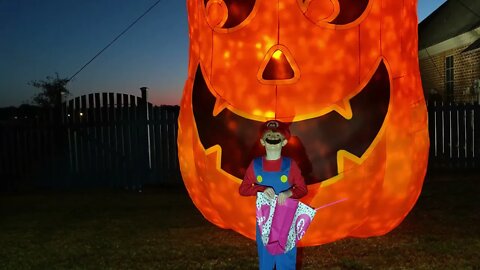 Hallerween 2021-Tater, Cornbread, Tater Tot and Ms. Izzy