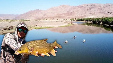 River rafting down the Orange river to catch YellowFish.camping remotely & exploring the river. Ep 2