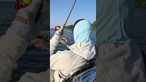 Catching BIG Bass on LIGHT Line!