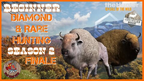 theHunter: Call of the Wild - Beginner DIAMOND & RARE Hunting Ep 44