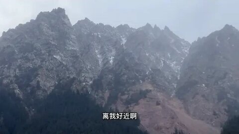 Traveling to Gansu, there are grottoes hidden in the primeval forest for more th