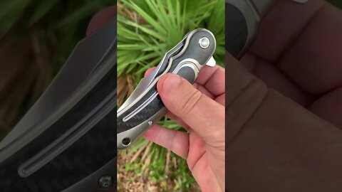 Todd Begg War Junkie Citadel folder