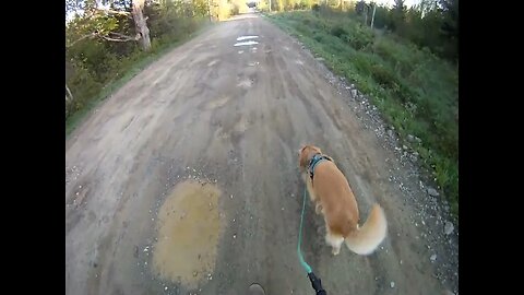 May 23rd, 30º and frost again. Flynn and I make it to the culvert in Prentiss