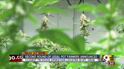 Mt. Orab residents react to medical marijuana license