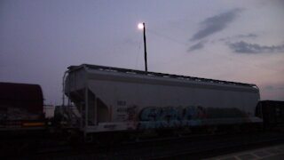 CN 3065, CN 2812 & CN 3816 Engines Manifest Train Eastbound In Ontario