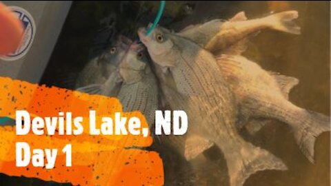 Devils Lake White bass 9/4/21 Day 1