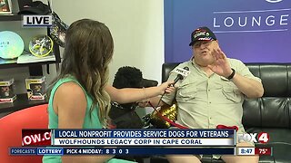 Organization rescues, trains service dogs to pair with U.S. veterans