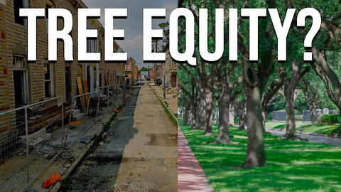 Tree Equity | Dumbest Bill in America