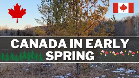 This is what Canada looks like in the early spring (March 2022)