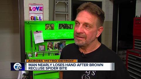 Metro Detroit man bitten by brown recluse spider