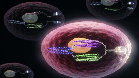 SYNTHETIC BIOLOGY - SELF ASSEMBLY