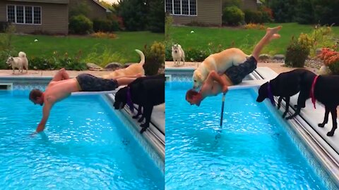 Dog FALLING In Swimming Pool