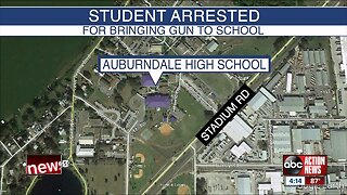 Polk student arrested after bringing loaded gun to school