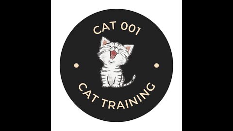 Tips On How to Train your Cat