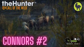 The Hunter: Call of the Wild, Connors #2