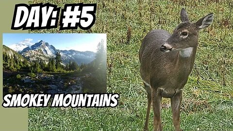 Trip to SMOKEY MOUNTAINS (Episode 5) (#gatlinburg )