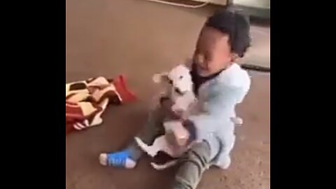 Biting revenge by baby .Funny video little child getting revenge instantly from little dog