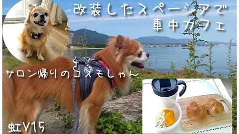 虹V15 《後編》改装した快適中古スペーシアで保護犬チワワと車中カフェ♪