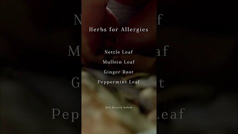 Herbs for Allergies