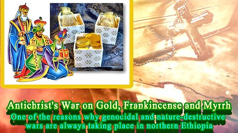 How The West’s Wellness Industry is Driving Ethiopia’s Frankincense Trees Towards Extinction