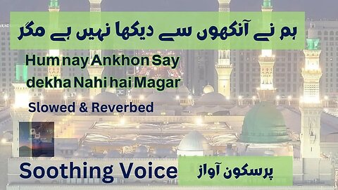 Hum Nay Ankhon Say Dekha Nahi| | Beautiful Naat | Reverb #naat #rabiulawal #naatsharif #healing