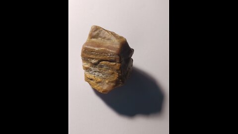 Petrified wood?