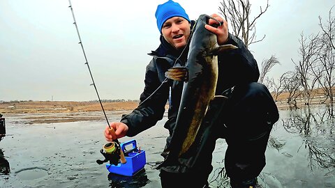 4 Species Ice Fishing Action! Jaw Jacker Catfish!