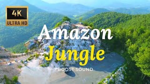 Amazon Jungle 4k Ultra HD Video _ Amazon, Animals, Waterfall & Forest Video