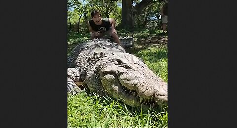 Henry - The oldest and largest Nile crocodile in captivity in the world 122 years old