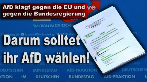 AfD klagt gegen die EU und gegen die Bundesregierung, Peter Boehringer und Albrecht Glaser, AfD