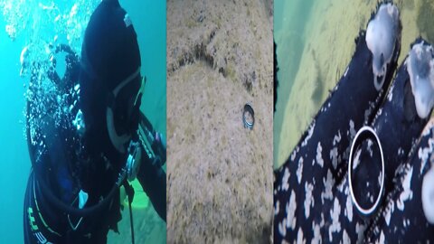 Treasure hunt found wedding ring in Lake Superior.