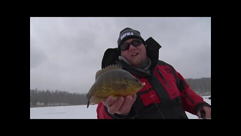 MidWest Outdoors TV #1760 - Big Minnesota Bluegill & Crappie on Ice