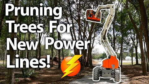 ⚡⚡We are so close to having Power + Shade Nursery and Food Forest Islands are Complete!!