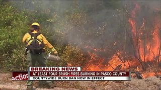 At least four brush fires burning in Pasco County