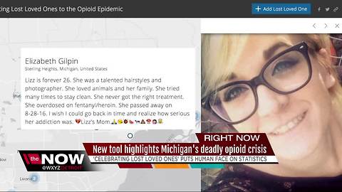 New tool highlights Michigan's deadly opioid crisis