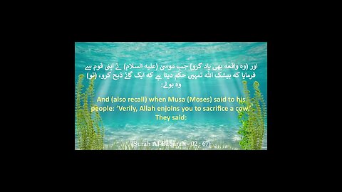 Part # 24 - Surah Al-Baqarah (The Cow) | Translation Verse 65-67 | HD #shorts Share