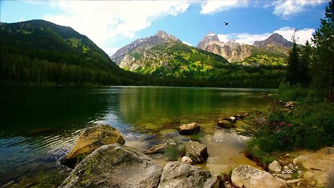 Beautiful Lake View With Nature Sounds