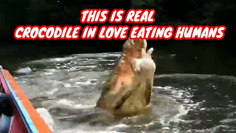 THIS IS REAL CROCODILE IN LOVE EATING HUMANS