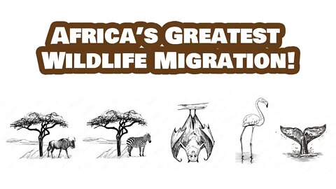 Africa's Greatest Wildlife Migration: Where Can You Experience Them?