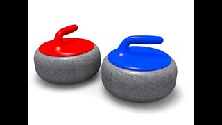 Curling Stones 3d model