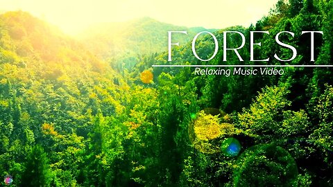 Beautiful Relaxing Music for Stress Relief Meditation Music, Sleep Music, Study Music #shorts