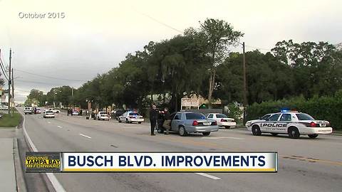 New push to make Busch Boulevard safer following several pedestrian and bicycle crashes