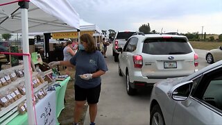 Stuart Green Market relocates to Martin County Fairgrounds